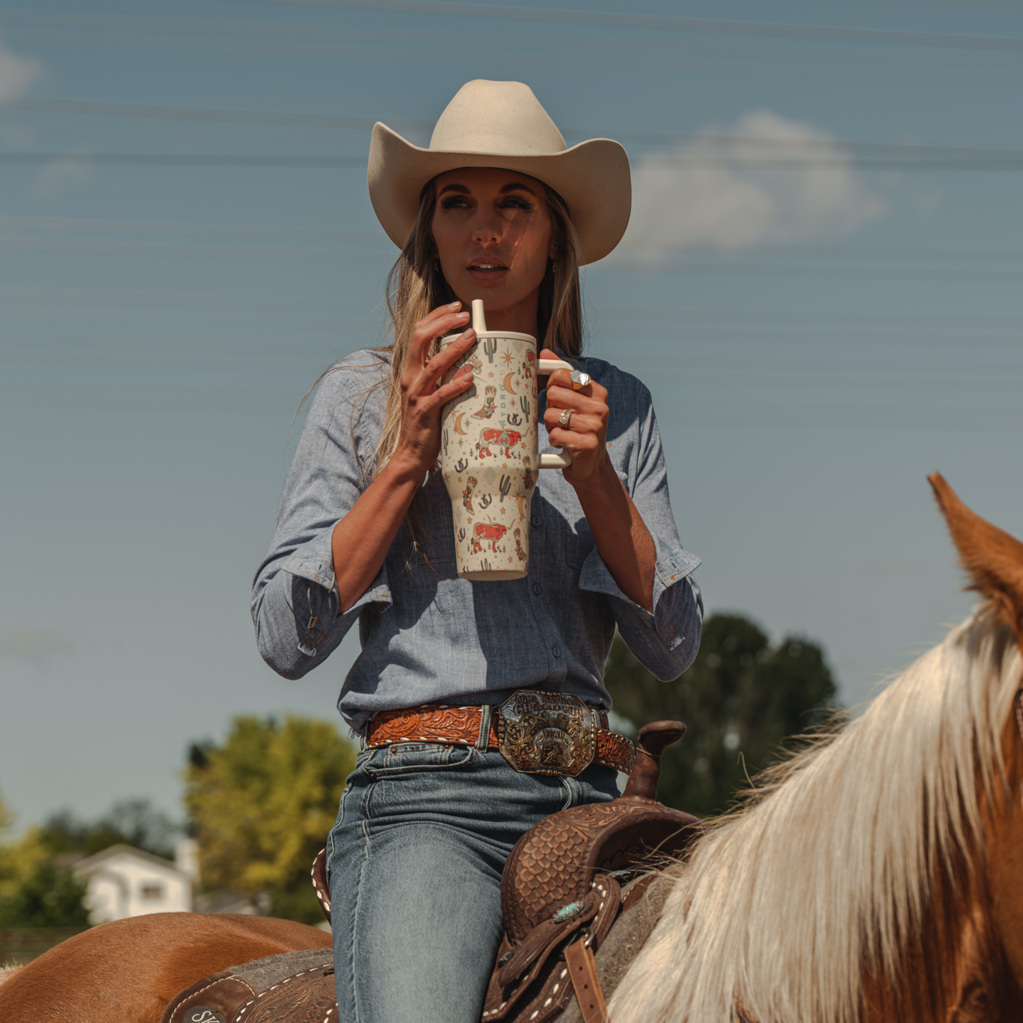 rodeo-g7 TRVL-Rodeo-6WPI.png